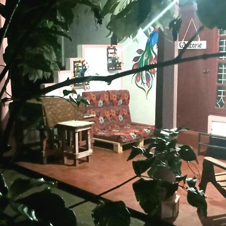 Sigiri Picaso Home Stay Sigiriya Ngoại thất bức ảnh