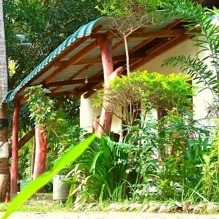 Sigiri Picaso Home Stay Sigiriya Ngoại thất bức ảnh