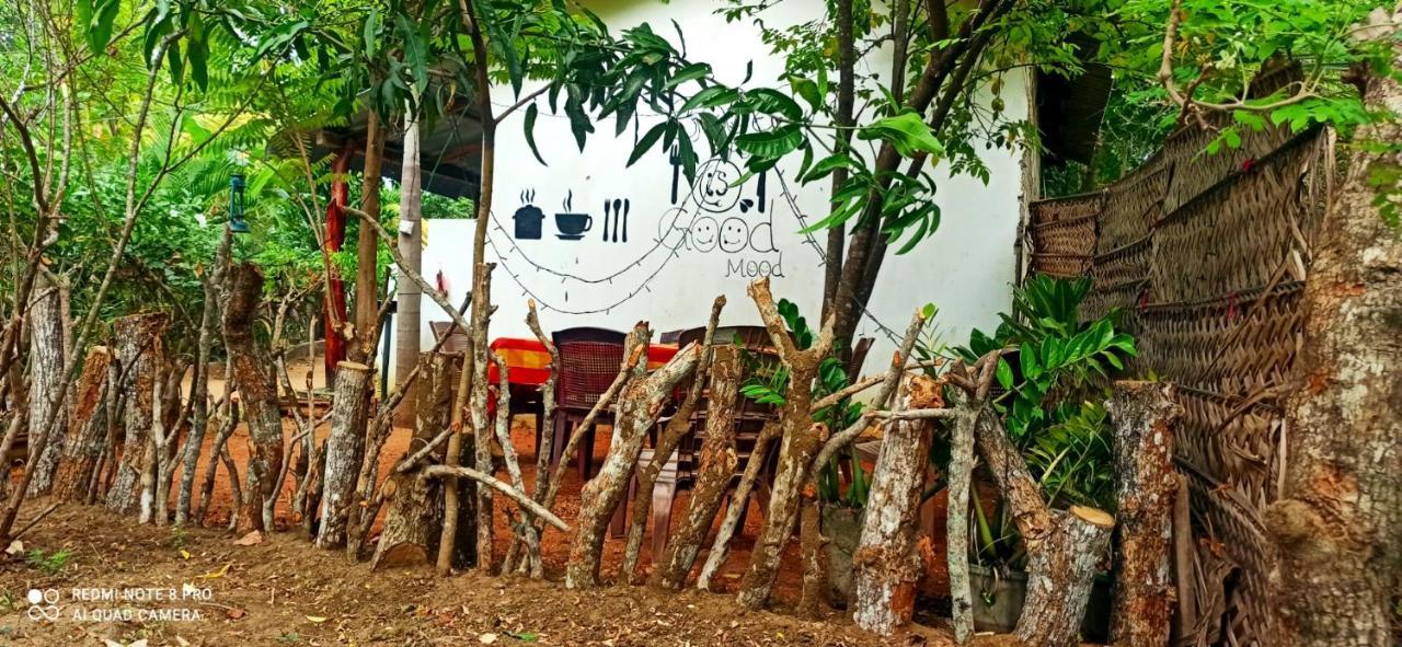 Sigiri Picaso Home Stay Sigiriya Ngoại thất bức ảnh