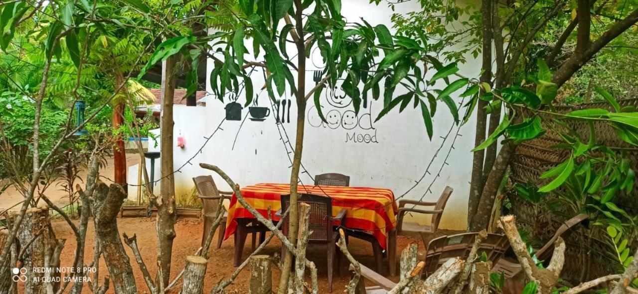 Sigiri Picaso Home Stay Sigiriya Ngoại thất bức ảnh