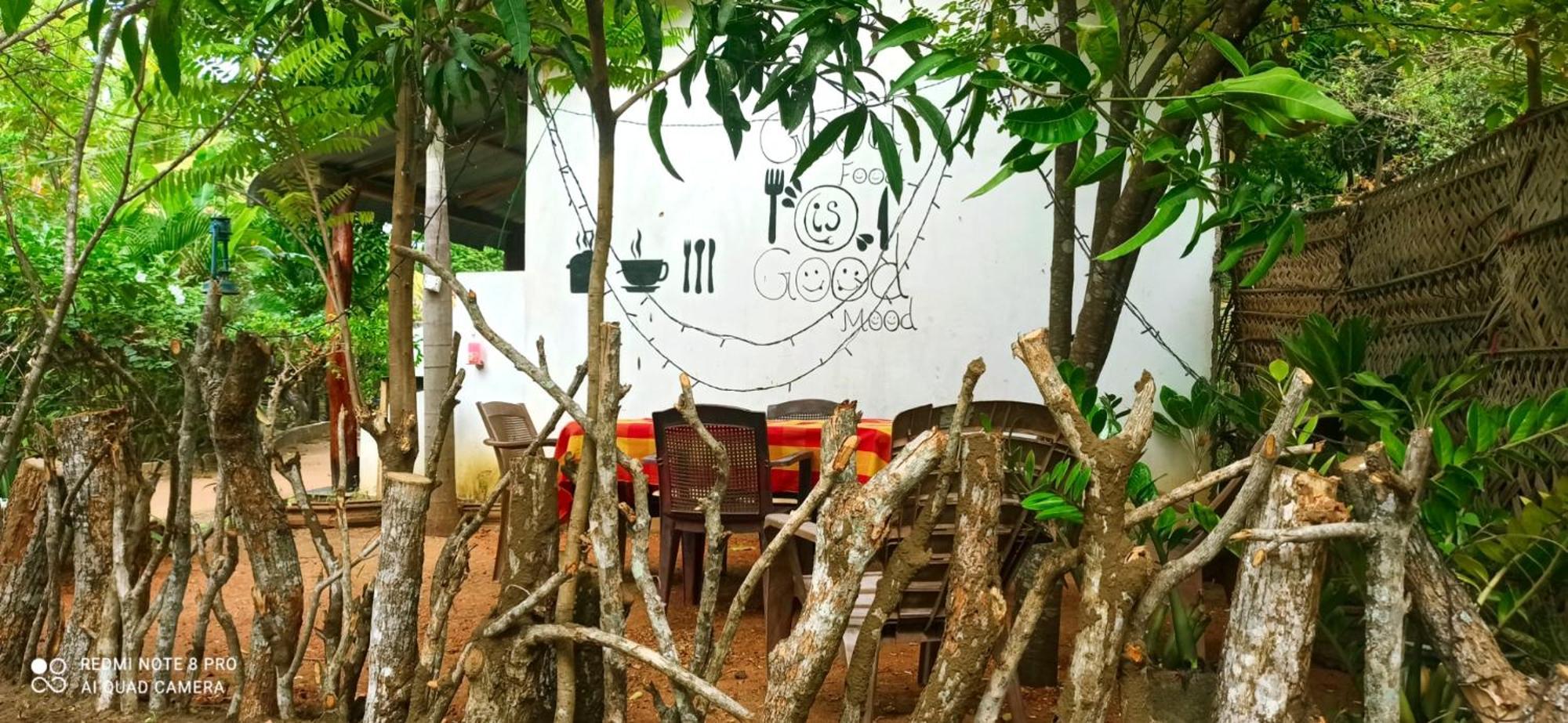 Sigiri Picaso Home Stay Sigiriya Ngoại thất bức ảnh