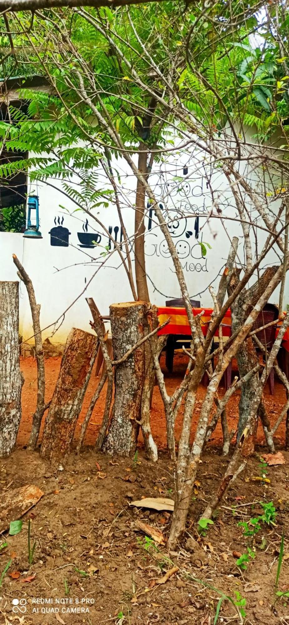 Sigiri Picaso Home Stay Sigiriya Ngoại thất bức ảnh