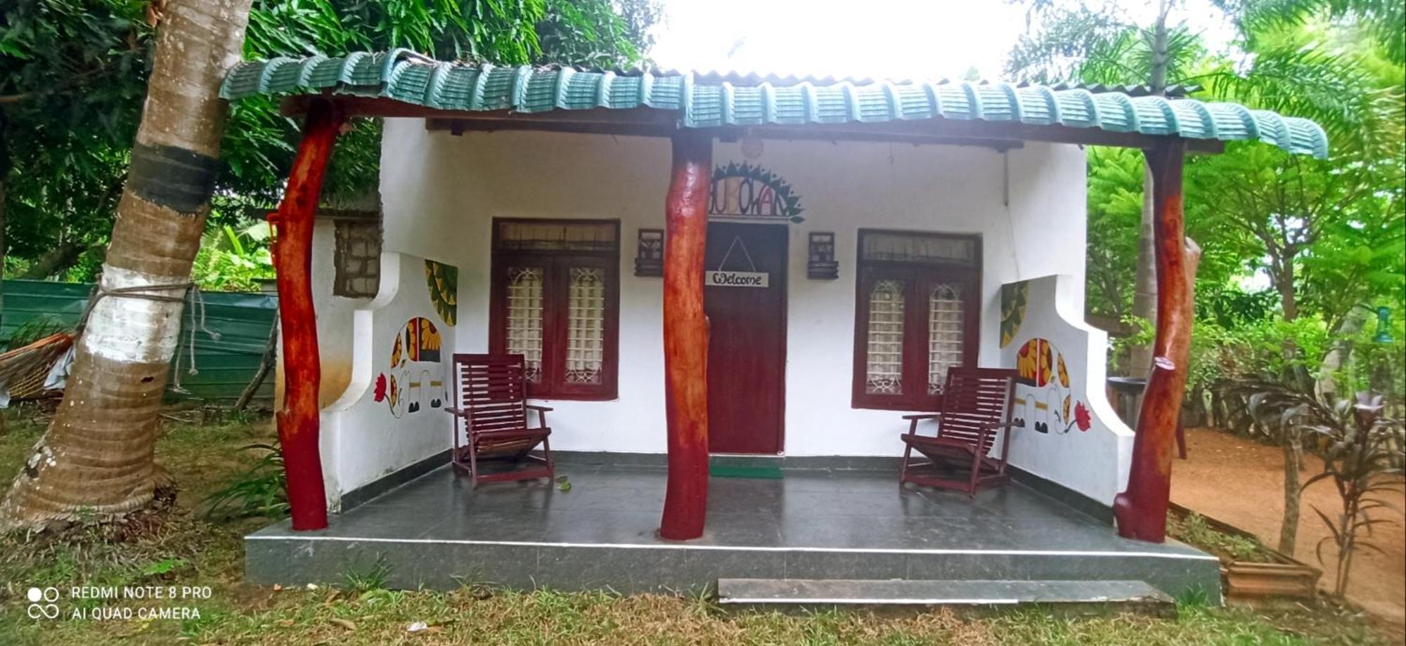 Sigiri Picaso Home Stay Sigiriya Ngoại thất bức ảnh