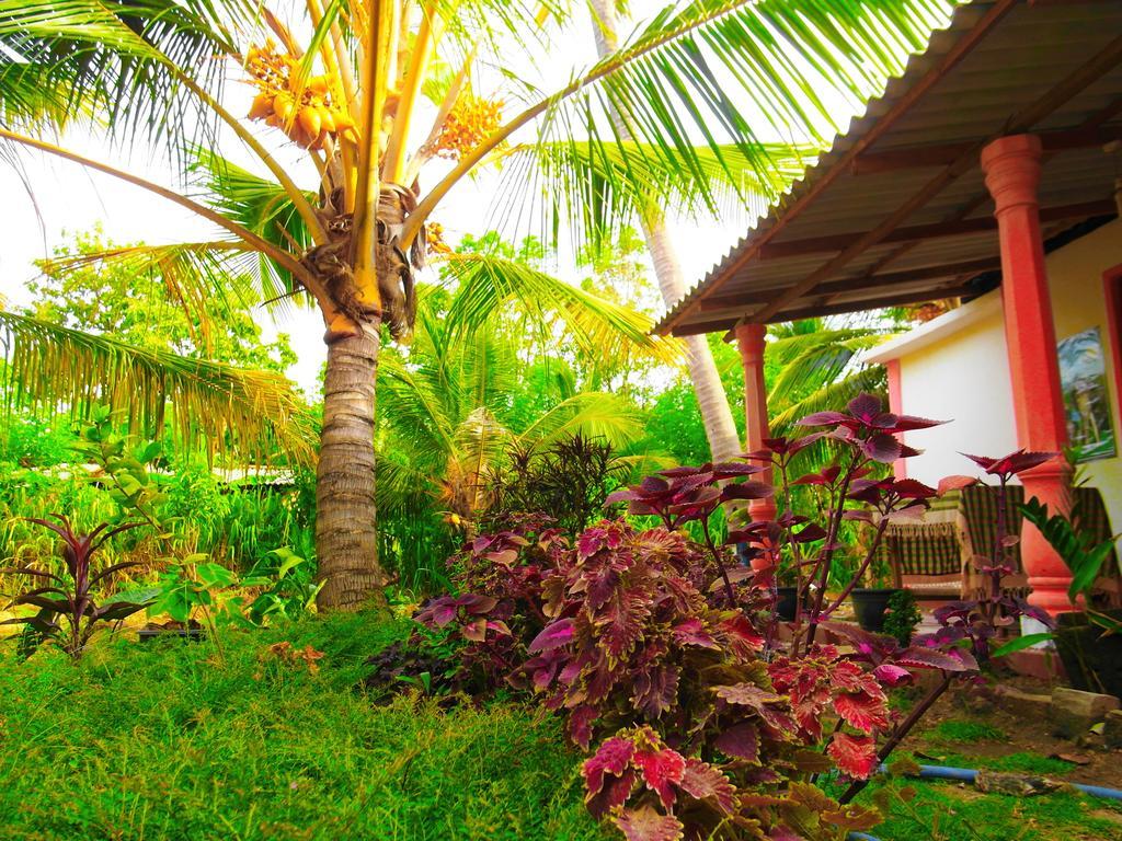 Sigiri Picaso Home Stay Sigiriya Ngoại thất bức ảnh