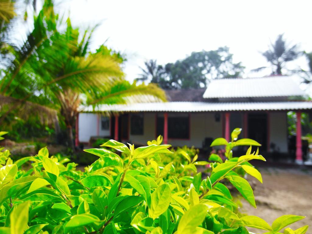 Sigiri Picaso Home Stay Sigiriya Ngoại thất bức ảnh