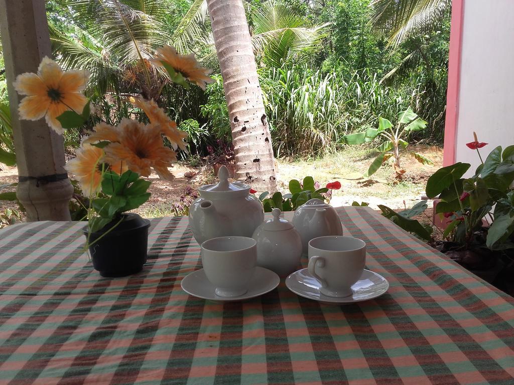 Sigiri Picaso Home Stay Sigiriya Ngoại thất bức ảnh