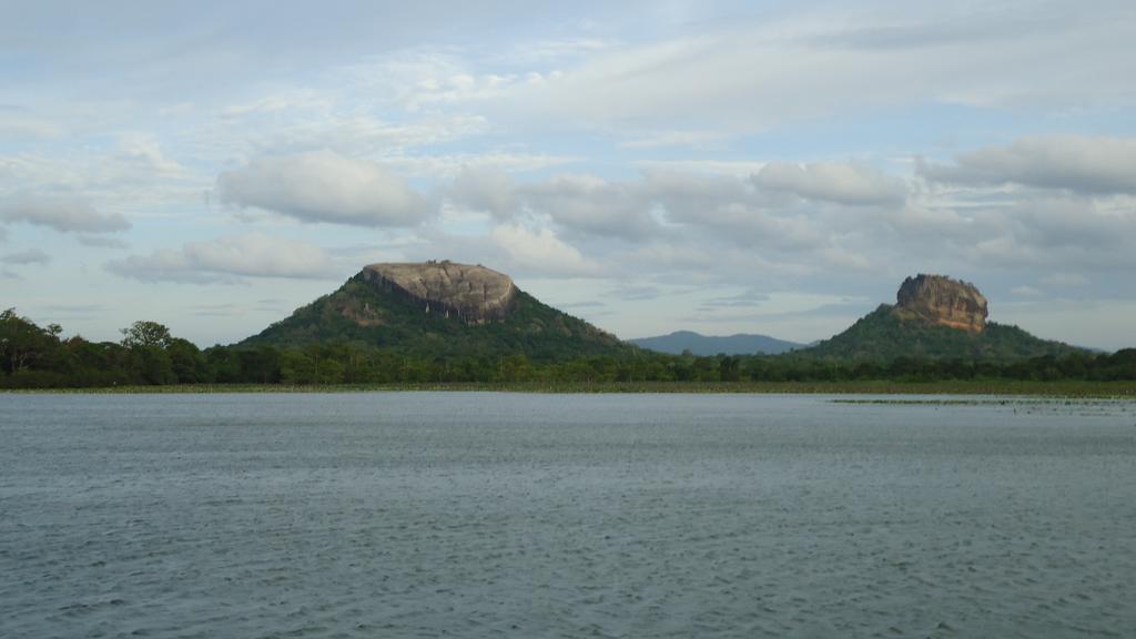 Sigiri Picaso Home Stay Sigiriya Ngoại thất bức ảnh