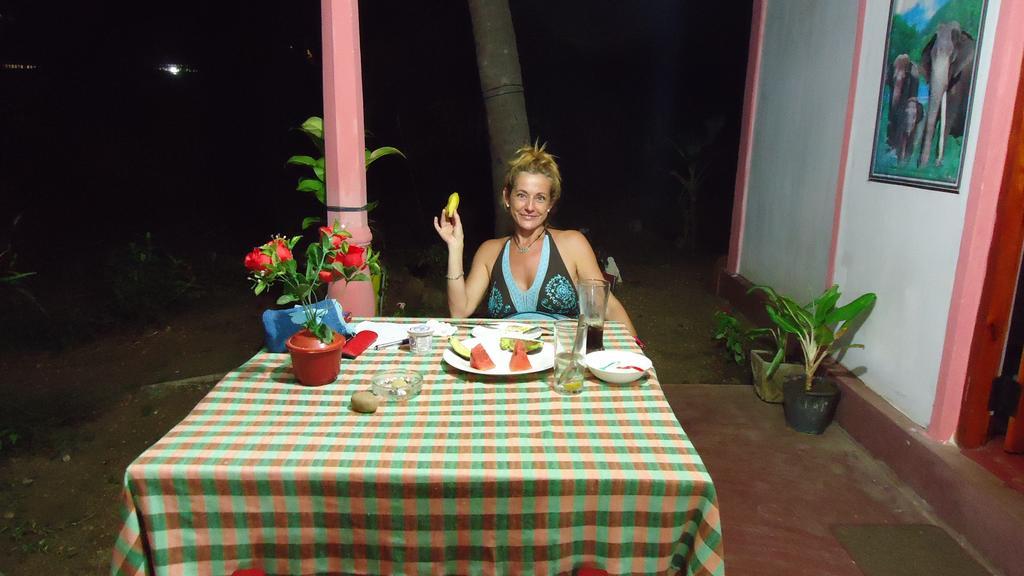 Sigiri Picaso Home Stay Sigiriya Ngoại thất bức ảnh