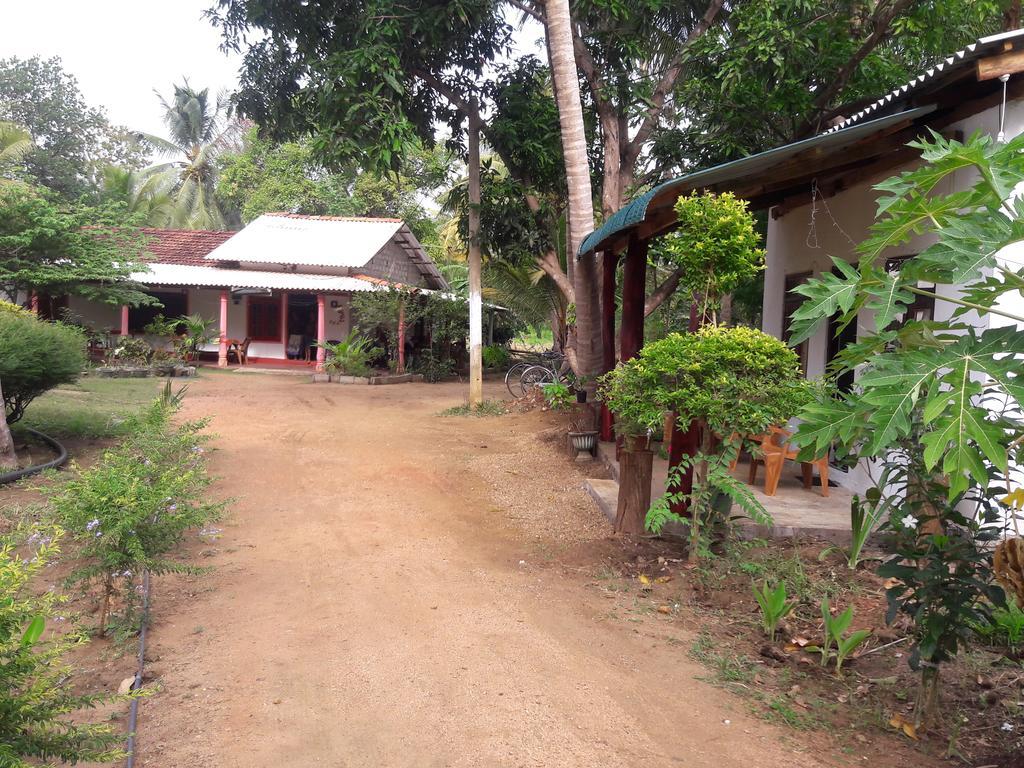 Sigiri Picaso Home Stay Sigiriya Ngoại thất bức ảnh