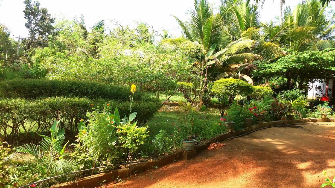 Sigiri Picaso Home Stay Sigiriya Ngoại thất bức ảnh