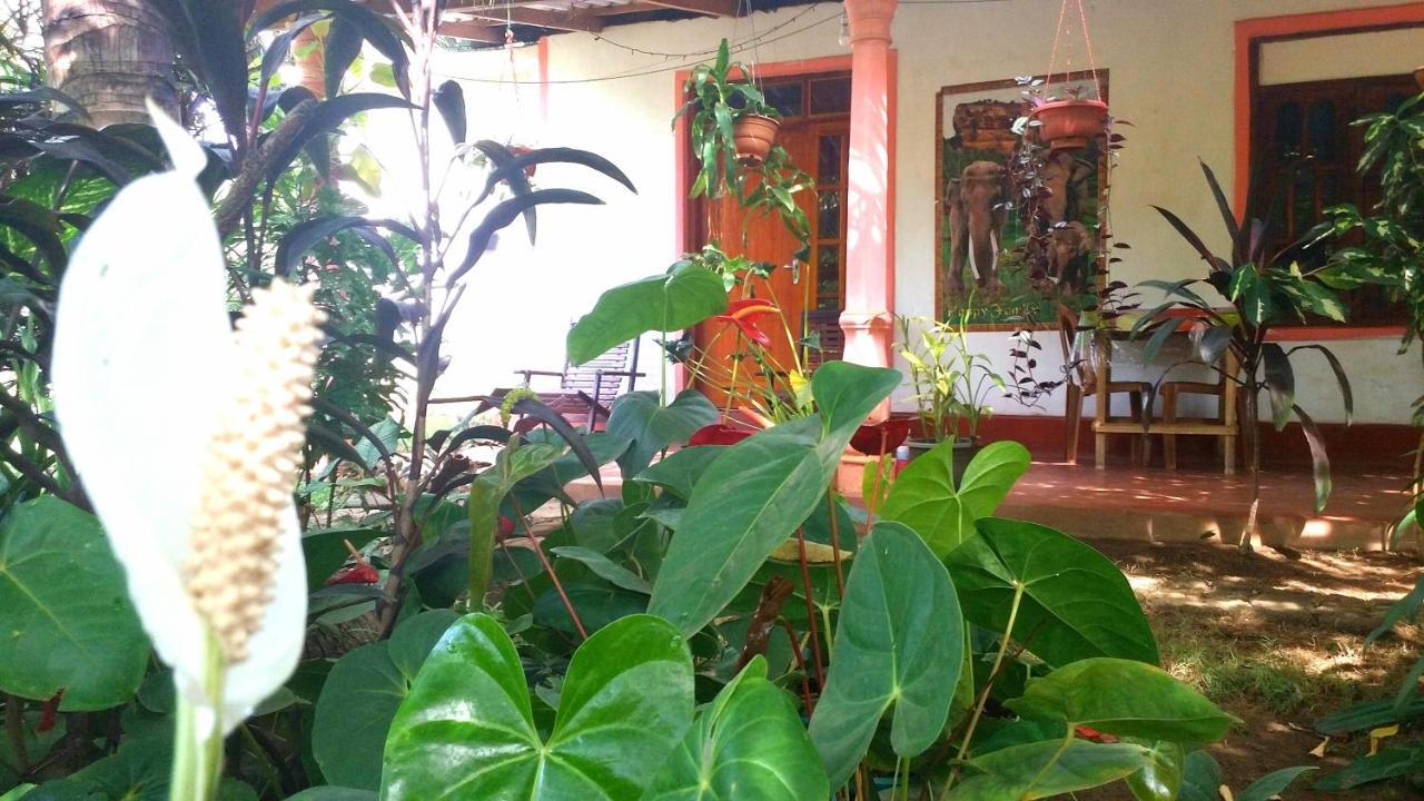 Sigiri Picaso Home Stay Sigiriya Ngoại thất bức ảnh
