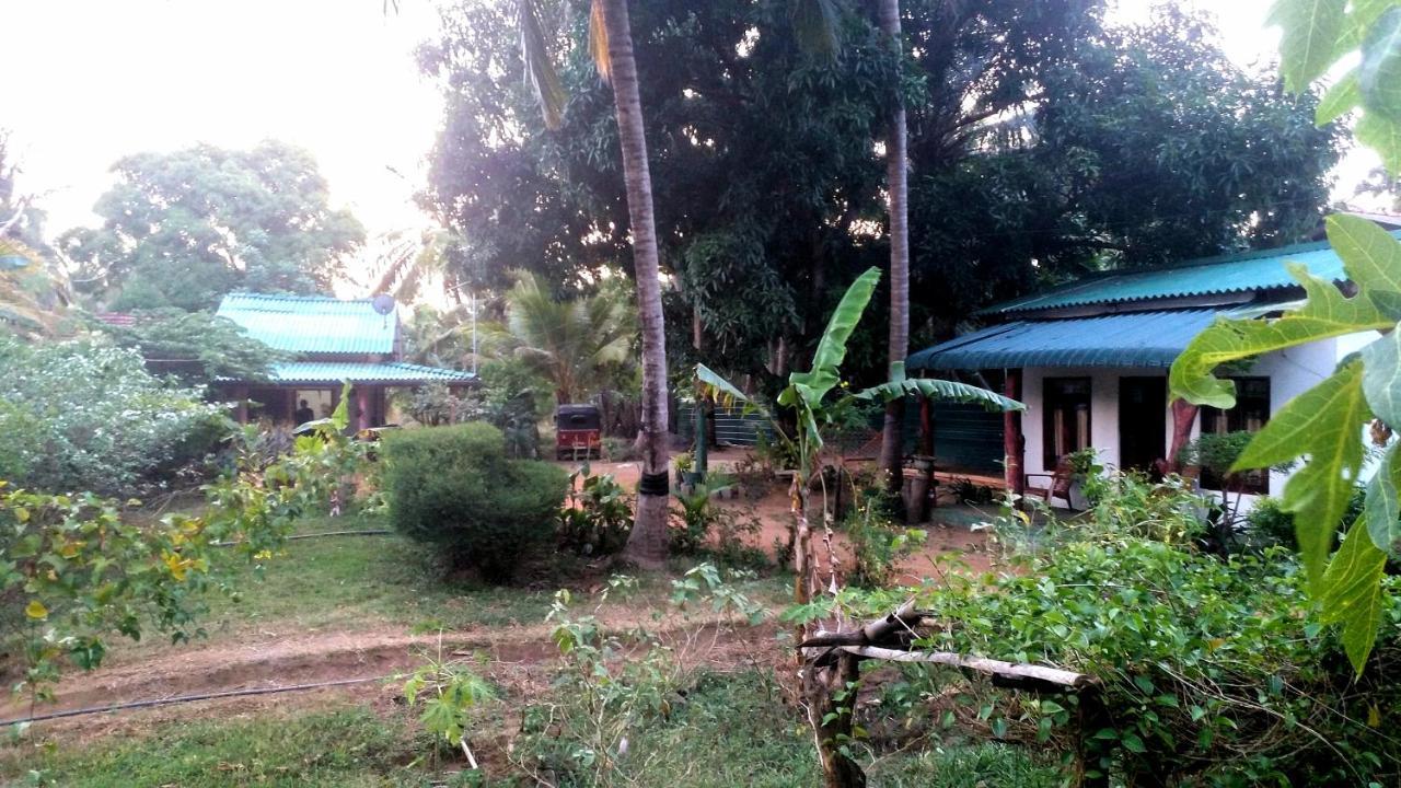Sigiri Picaso Home Stay Sigiriya Ngoại thất bức ảnh