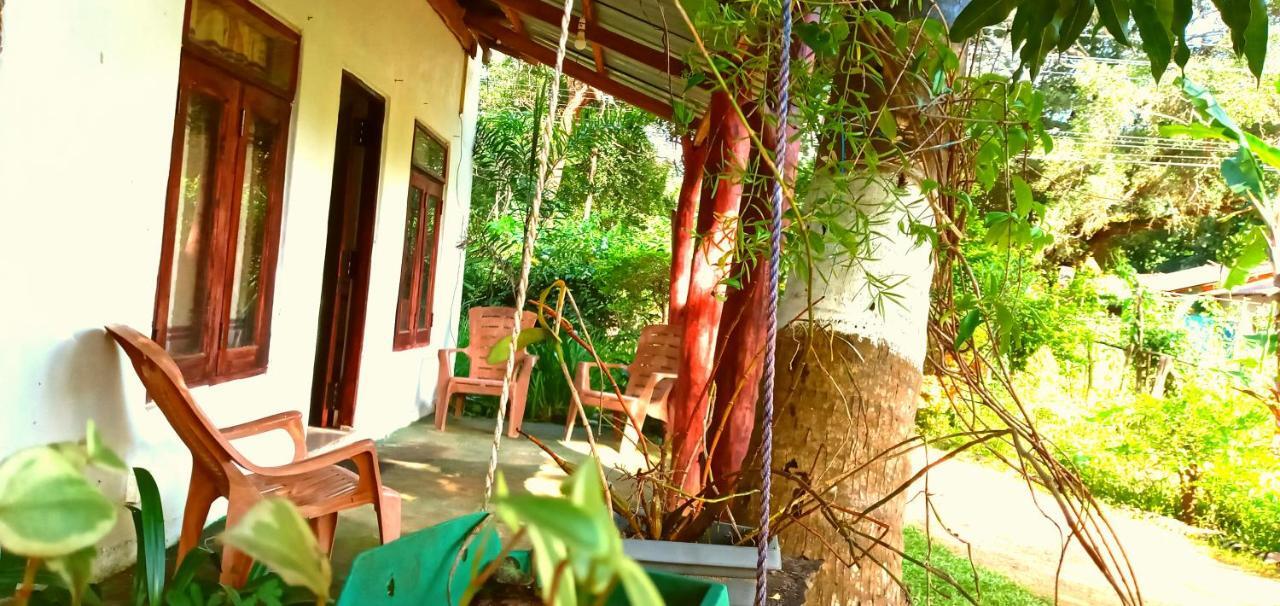 Sigiri Picaso Home Stay Sigiriya Ngoại thất bức ảnh