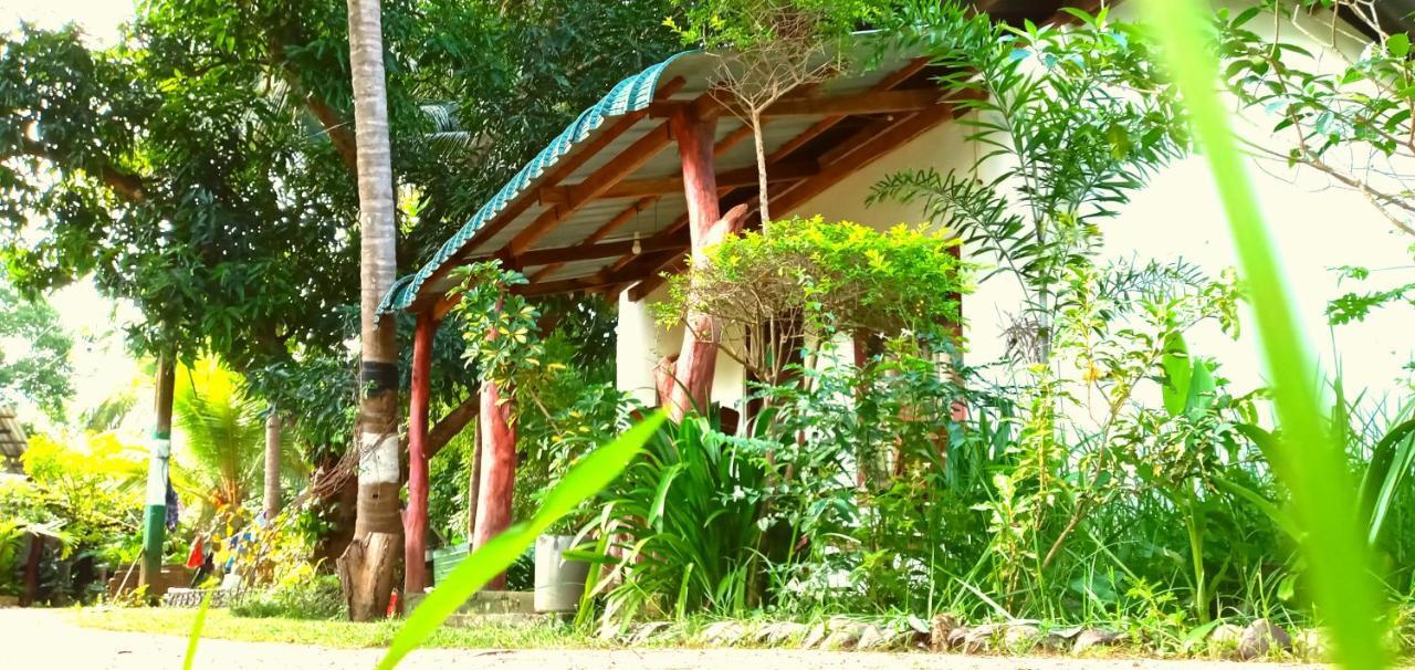 Sigiri Picaso Home Stay Sigiriya Ngoại thất bức ảnh