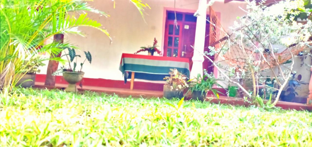 Sigiri Picaso Home Stay Sigiriya Ngoại thất bức ảnh