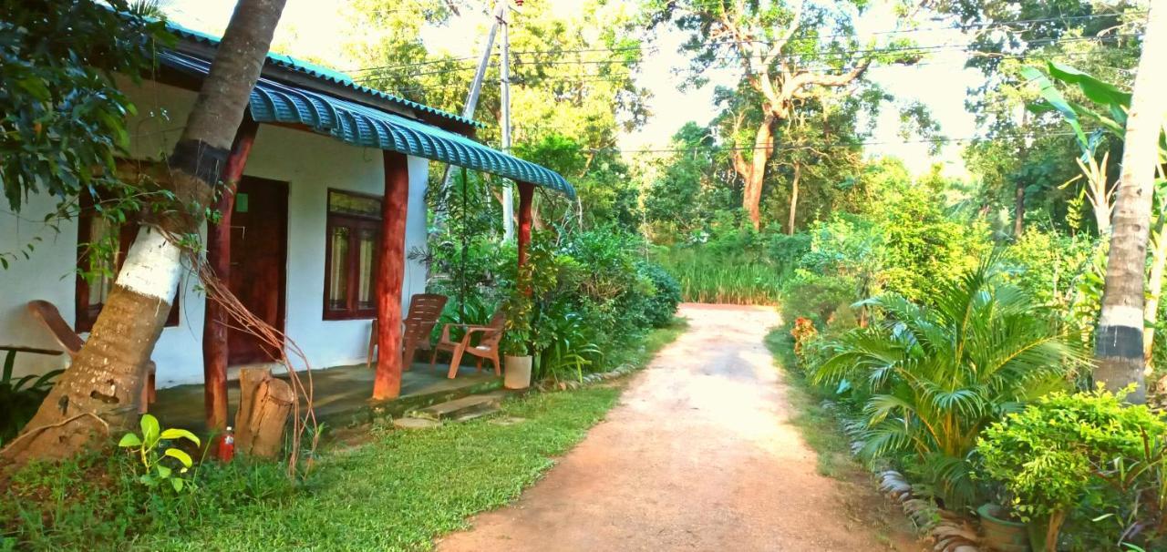 Sigiri Picaso Home Stay Sigiriya Ngoại thất bức ảnh