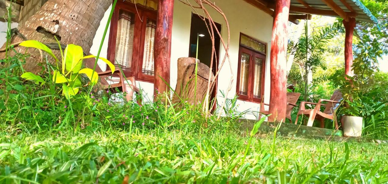 Sigiri Picaso Home Stay Sigiriya Ngoại thất bức ảnh
